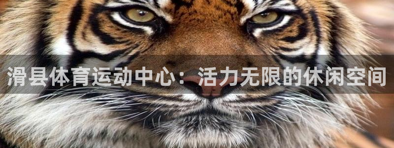 三亿体育网页版：滑县体育运动中心：活力无限的休闲空间