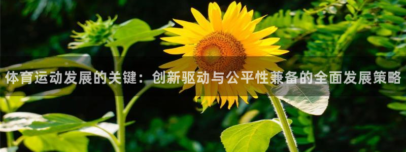 三亿体育：体育运动发展的关键：创新驱动与公平性兼备的全面发展策略