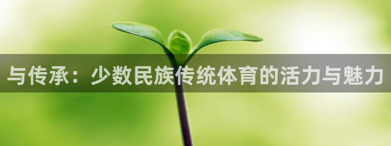 三亿体育网页版：与传承：少数民族传统体育的活力与魅力