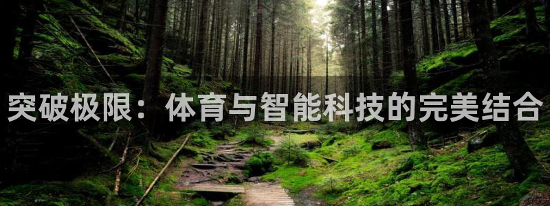 三亿体育登录：突破极限：体育与智能科技的完美结合