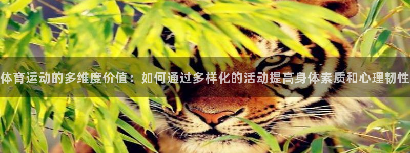 三亿体育登录：体育运动的多维度价值：如何通过多样化的活动提高身体素质和心理韧性
