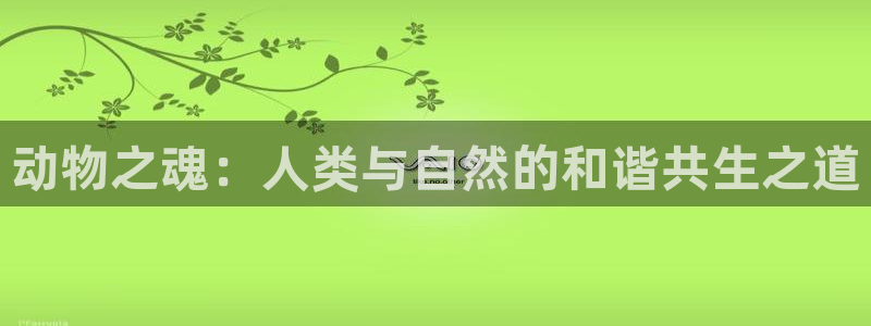 三亿体育网：动物之魂：人类与自然的和谐共生之道