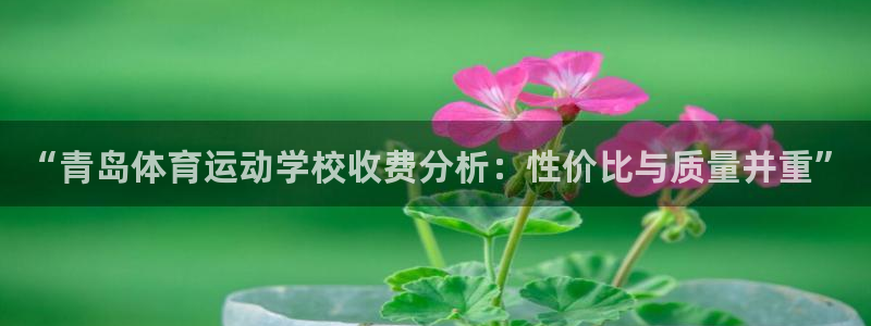三亿体育登录：“青岛体育运动学校收费分析：性价比与质量并重”