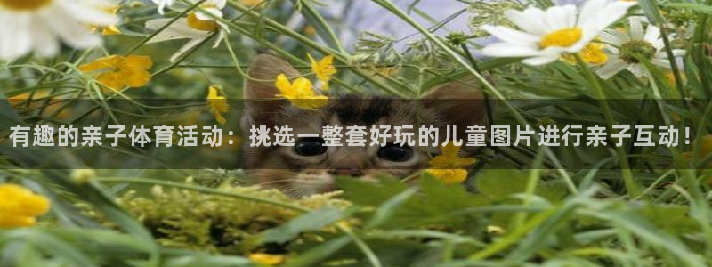 三亿体育网页版：有趣的亲子体育活动：挑选一整套好玩的儿童图片进行亲子互动！