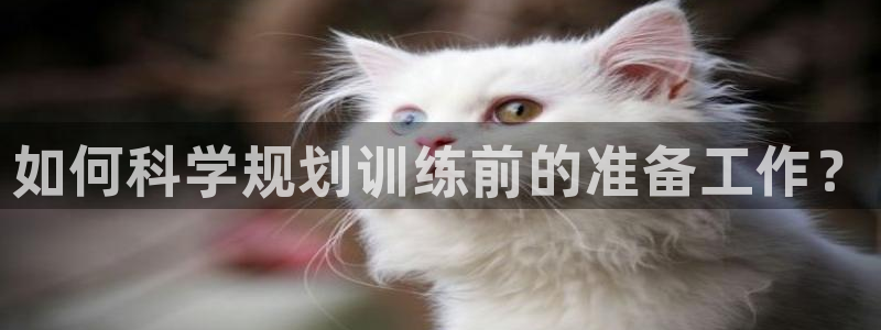 三亿体育网页版：如何科学规划训练前的准备工作？