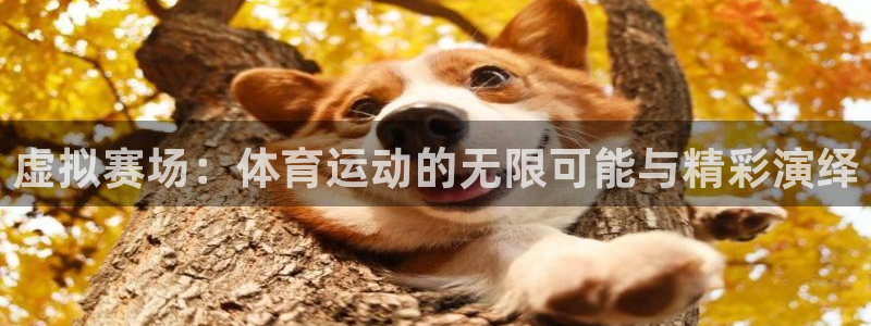 三亿体育登录：虚拟赛场：体育运动的无限可能与精彩演绎