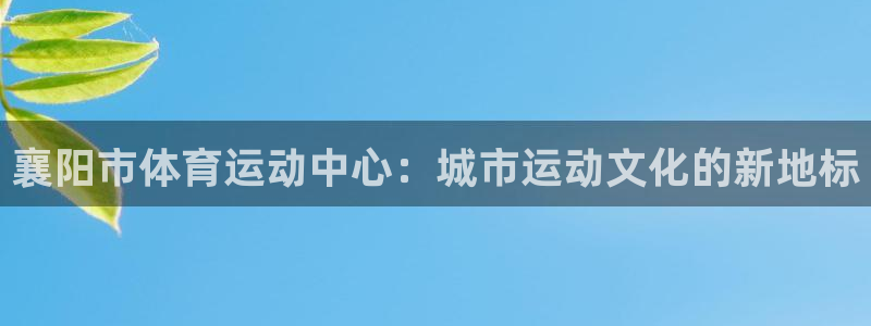 三亿体育登录：襄阳市体育运动中心：城市运动文化的新地标