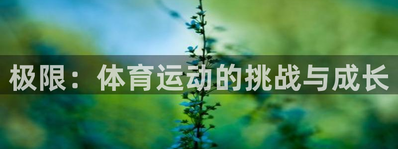三亿体育网页版：极限：体育运动的挑战与成长