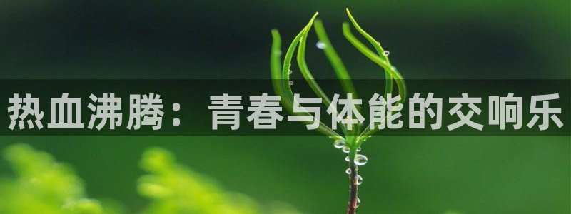 三亿体育网页版：热血沸腾：青春与体能的交响乐
