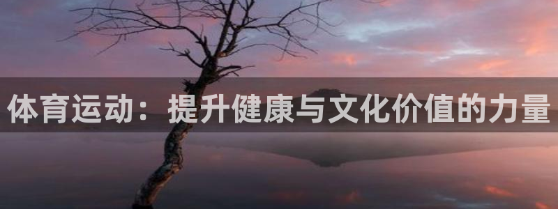 三亿体育登录：体育运动：提升健康与文化价值的力量
