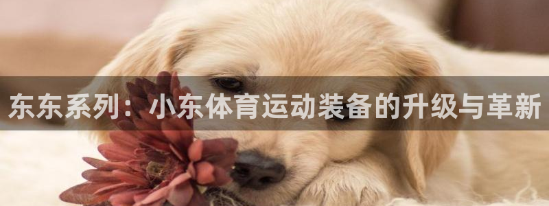 三亿体育登录：东东系列：小东体育运动装备的升级与革新