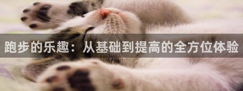 三亿体育登录：跑步的乐趣：从基础到提高的全方位体验