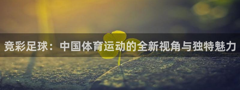 三亿体育网：竞彩足球：中国体育运动的全新视角与独特魅力