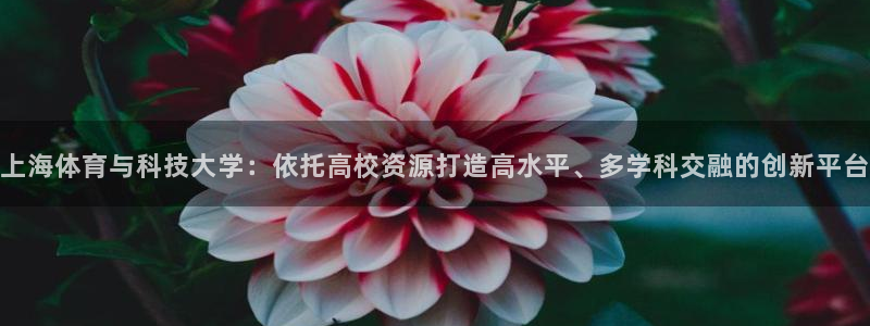 三亿体育登录：上海体育与科技大学：依托高校资源打造高水平、多学科交融的创新平台