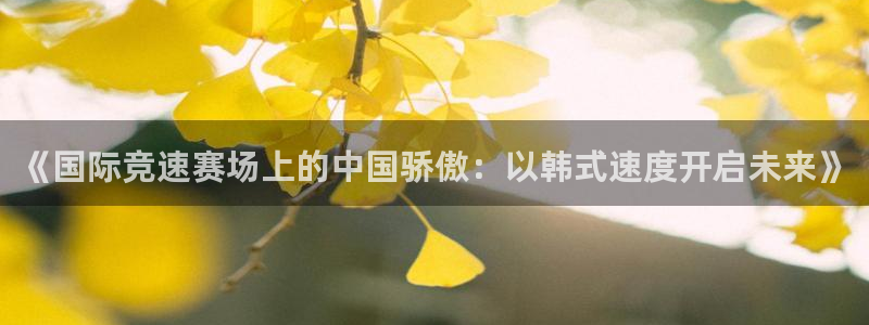 三亿体育：《国际竞速赛场上的中国骄傲：以韩式速度开启未来》